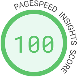 Google Pagespeed Insights Score, 100